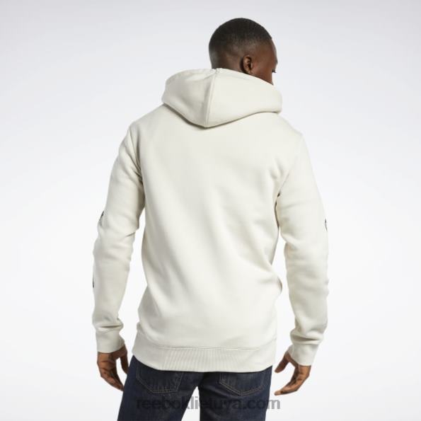 Reebok dc x logotipo džemperis FTYF8310 alebastras