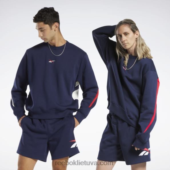 Reebok Klasikinio prekės ženklo didžiuotis komandos megztinis FTYF8716 vektorinis laivynas