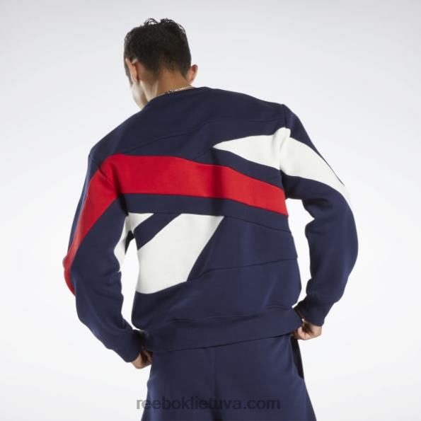Reebok Klasikinio prekės ženklo didžiuotis komandos megztinis FTYF8716 vektorinis laivynas