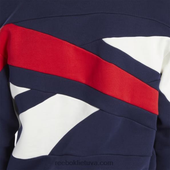 Reebok Klasikinio prekės ženklo didžiuotis komandos megztinis FTYF8716 vektorinis laivynas