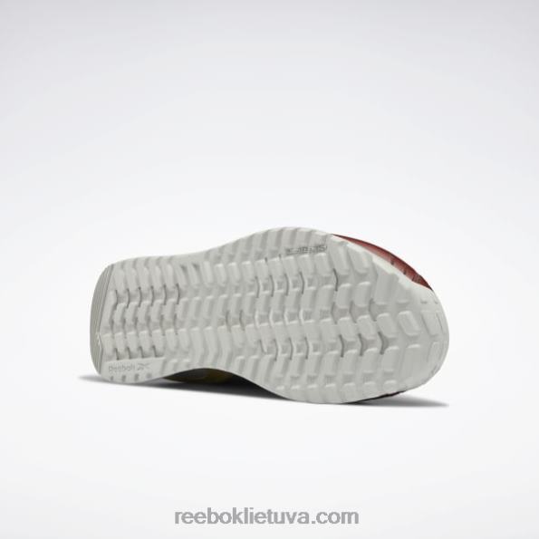 Reebok dc nano x2 vyriški treniruočių bateliai FTYF898 terra raudona / drąsus mėlynas / matinis auksas