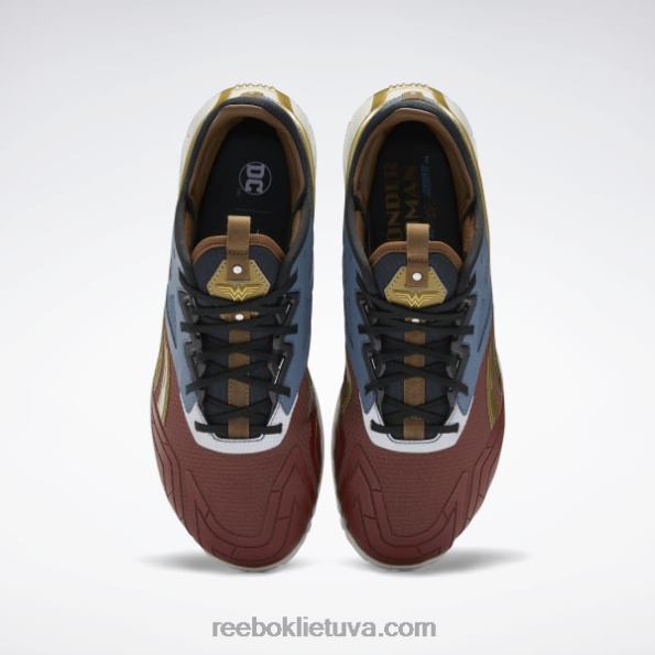 Reebok dc nano x2 vyriški treniruočių bateliai FTYF898 terra raudona / drąsus mėlynas / matinis auksas