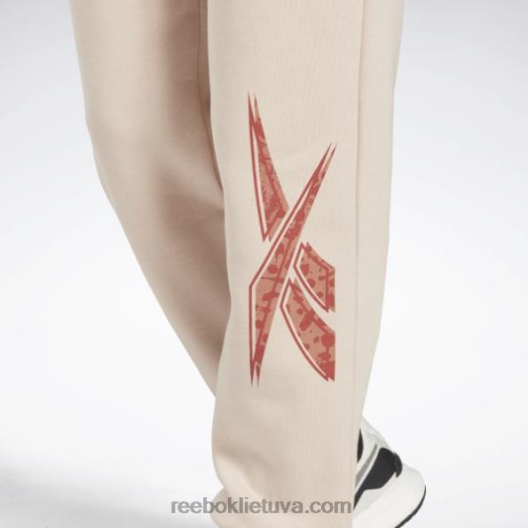 Reebok Šiuolaikiniai safari bėgikai FTYF8997 minkštas ekrus moterys