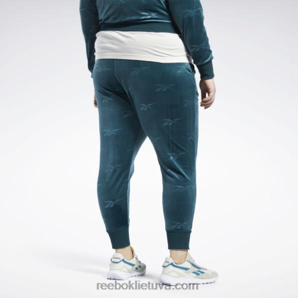 Reebok klasikinės Energy q4 veliūrinės kelnės (plius dydis) FTYF8886 miškas žalias moterys