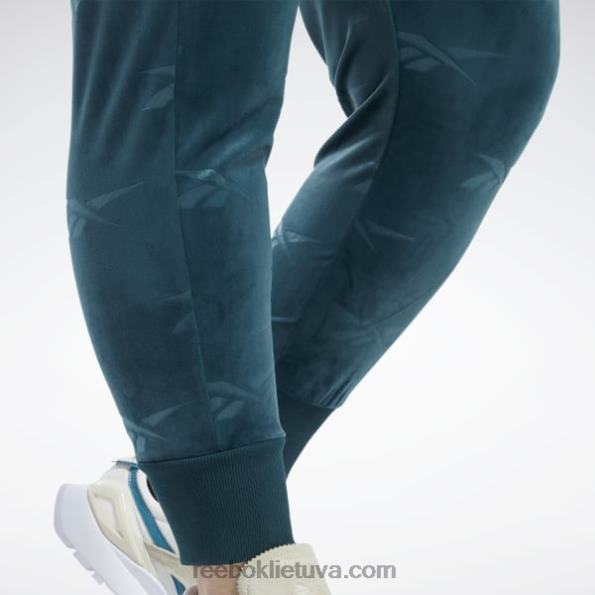 Reebok klasikinės Energy q4 veliūrinės kelnės (plius dydis) FTYF8886 miškas žalias moterys