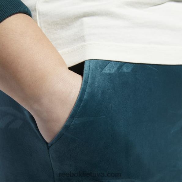 Reebok klasikinės Energy q4 veliūrinės kelnės (plius dydis) FTYF8886 miškas žalias moterys