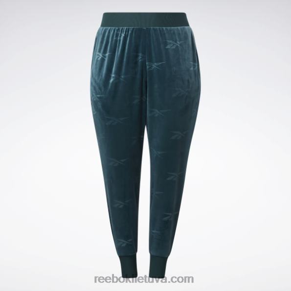 Reebok klasikinės Energy q4 veliūrinės kelnės (plius dydis) FTYF8886 miškas žalias moterys