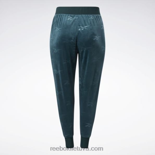 Reebok klasikinės Energy q4 veliūrinės kelnės (plius dydis) FTYF8886 miškas žalias moterys
