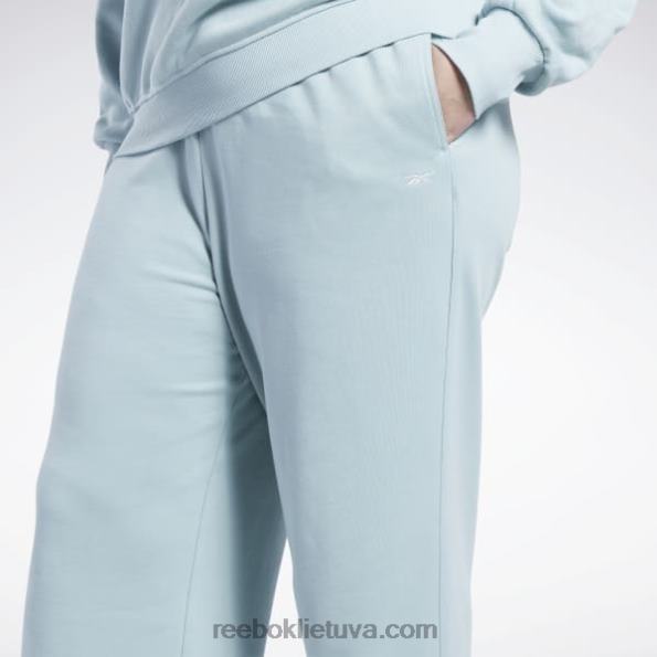 Reebok klasikinės plačios kelnės (plius dydis) FTYF8649 pajūrio pilka moterys