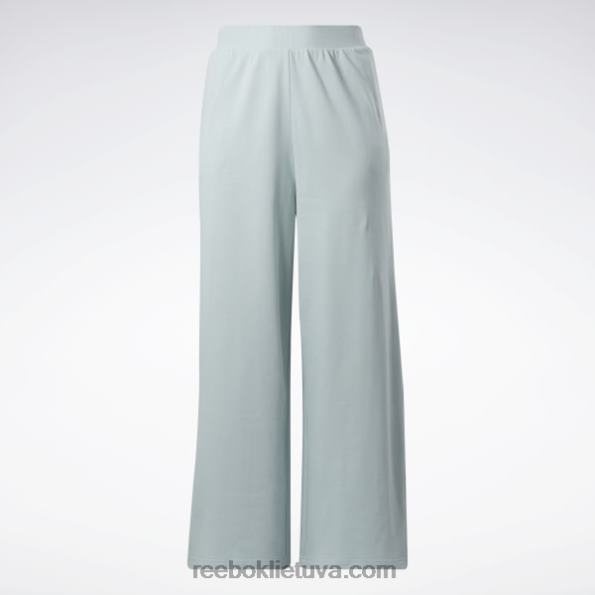 Reebok klasikinės plačios kelnės (plius dydis) FTYF8649 pajūrio pilka moterys