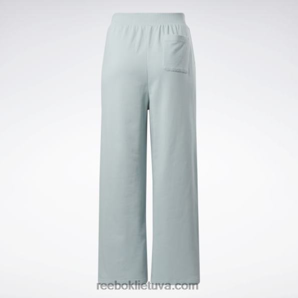 Reebok klasikinės plačios kelnės (plius dydis) FTYF8649 pajūrio pilka moterys