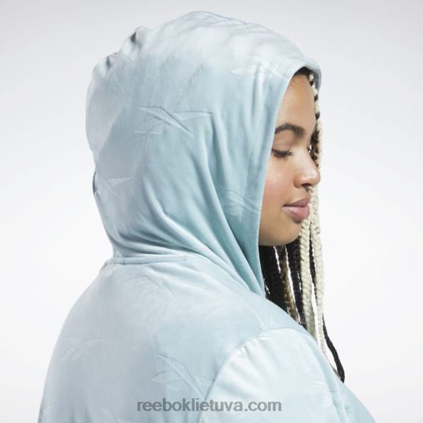 Reebok Classics energy q4 veliūrinis megztinis su užtrauktuku (plius dydis) FTYF8899 pajūrio pilka moterys