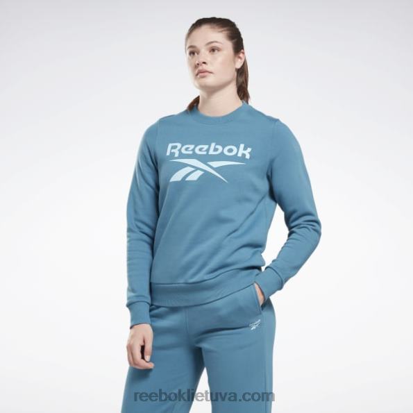 Reebok identitetas su dideliu logotipu vilnonis komandos megztinis FTYF8827 plieninis mėlynas s23-r moterys