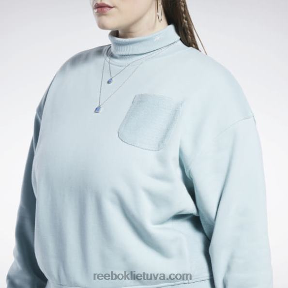 Reebok klasikiniai medvilniniai prancūziški kilpiniai megztiniai (plius dydis) FTYF8749 pajūrio pilka moterys