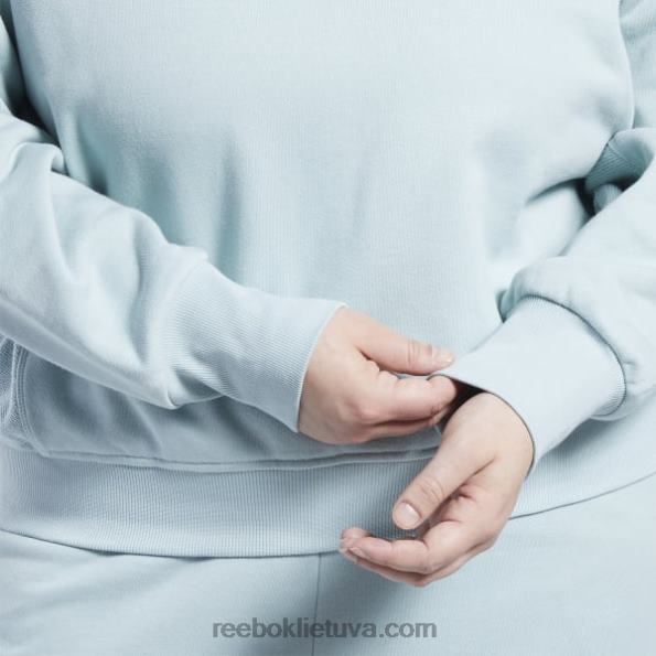 Reebok klasikiniai medvilniniai prancūziški kilpiniai megztiniai (plius dydis) FTYF8749 pajūrio pilka moterys