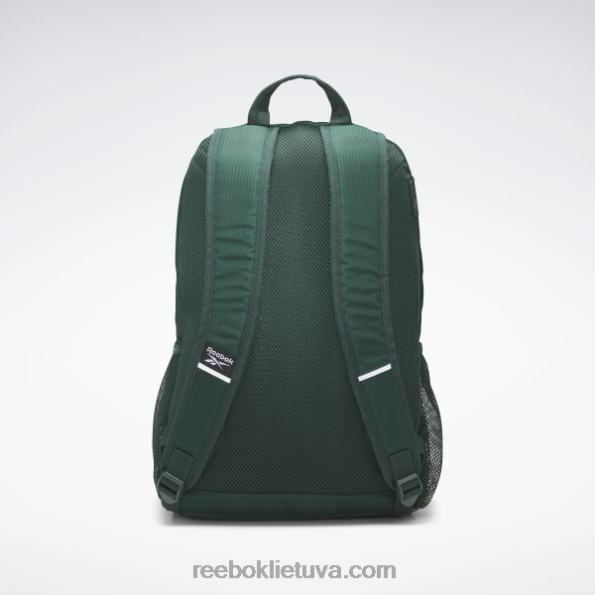 Reebok wyatt kuprinė FTYF8595 keli