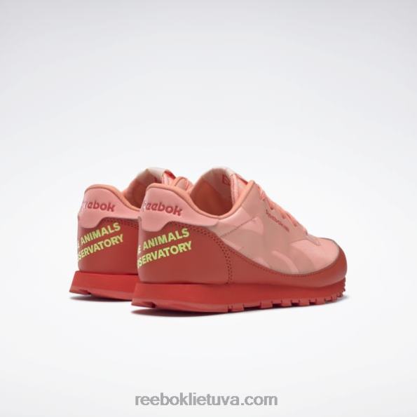 Reebok gyvūnų observatorija klasikiniai odiniai batai - ikimokyklinis FTYF81426 lenktynininkas raudona / saulės rūgštis geltona vaikai