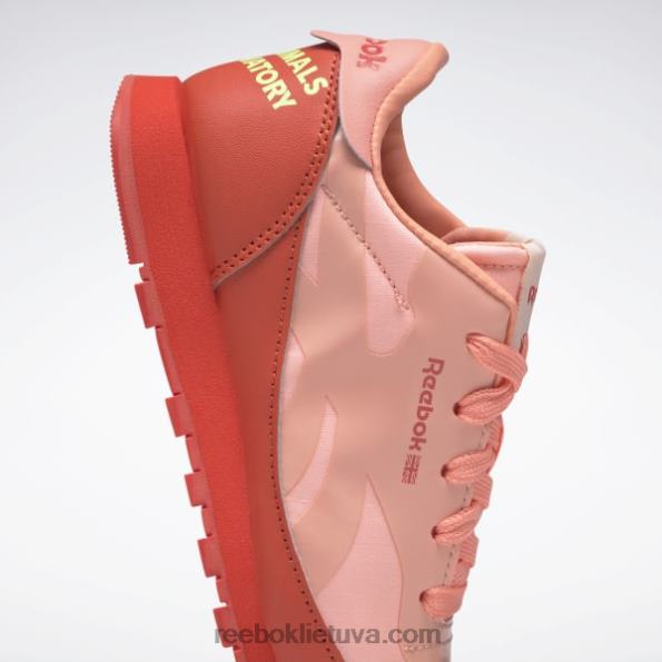 Reebok gyvūnų observatorija klasikiniai odiniai batai - ikimokyklinis FTYF81426 lenktynininkas raudona / saulės rūgštis geltona vaikai
