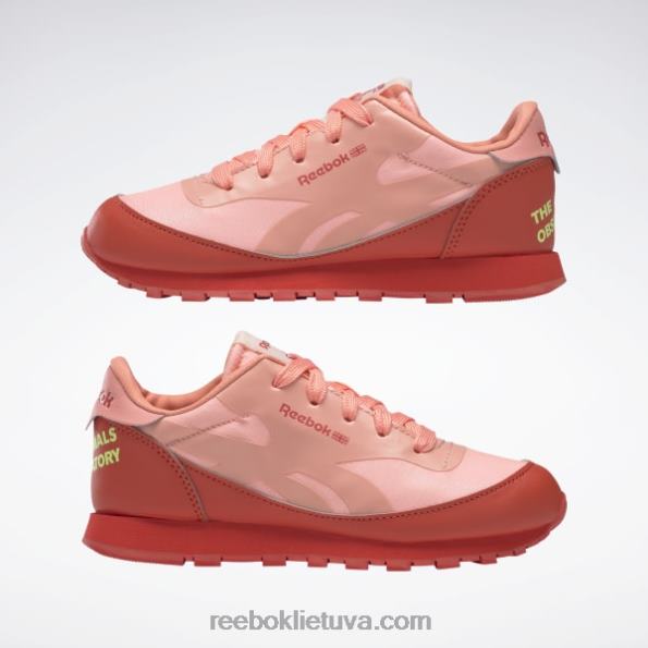 Reebok gyvūnų observatorija klasikiniai odiniai batai - ikimokyklinis FTYF81426 lenktynininkas raudona / saulės rūgštis geltona vaikai