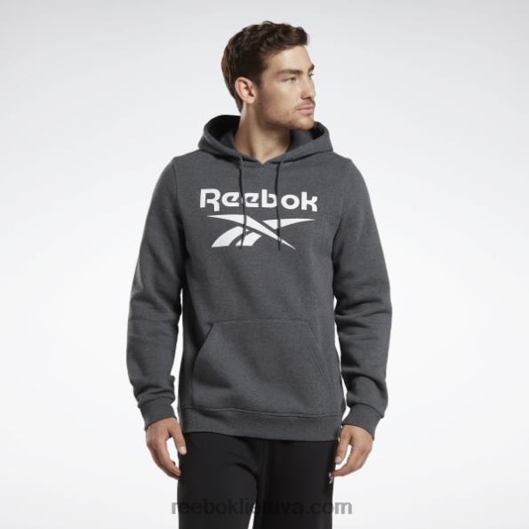 Reebok Identity fleece sukrautas logotipas megztinis gobtuvas FTYF81205 tamsiai pilki viržiai vyrų