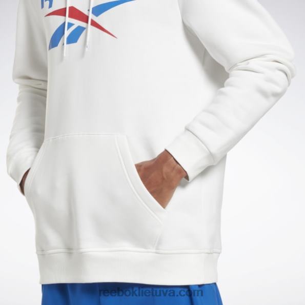 Reebok Identity fleece sukrautas logotipas megztinis gobtuvas FTYF81243 baltas vyrų