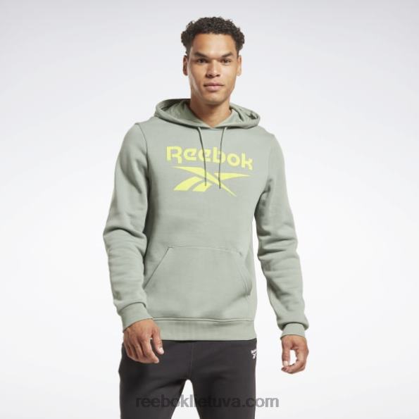 Reebok Identity fleece sukrautas logotipas megztinis gobtuvas FTYF81278 harmonija žalia vyrų