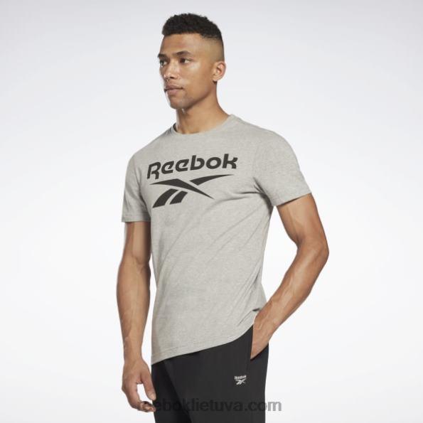 Reebok marškinėliai su dideliu logotipu FTYF81306 vidutinio pilkumo viržiai vyrų