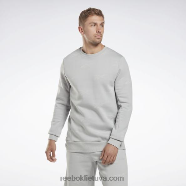 Reebok tapatybės vektorius, vilnos įgulos megztinis FTYF81248 gryna pilka 3 vyrų