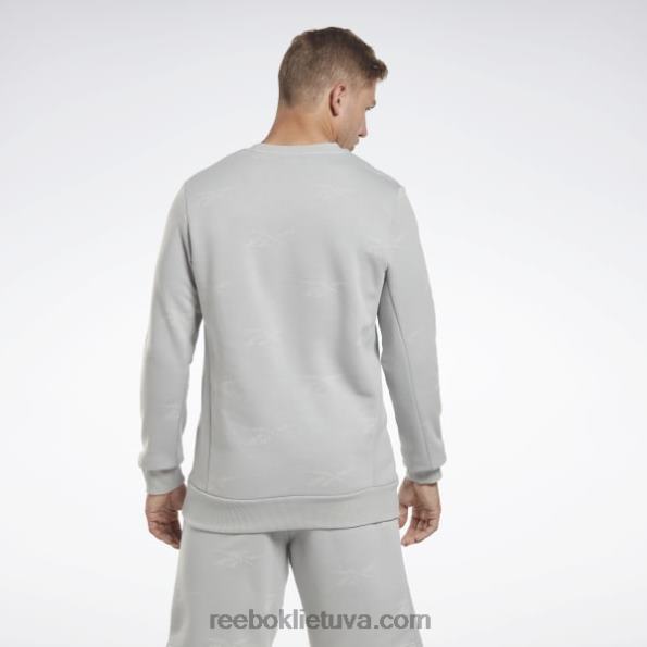 Reebok tapatybės vektorius, vilnos įgulos megztinis FTYF81248 gryna pilka 3 vyrų