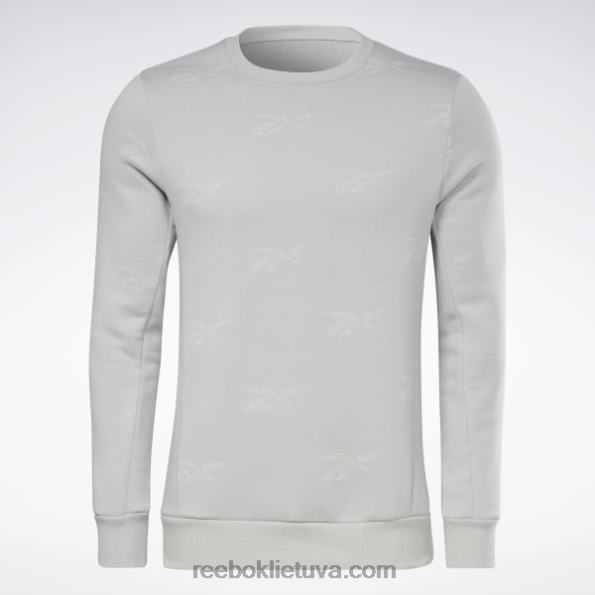 Reebok tapatybės vektorius, vilnos įgulos megztinis FTYF81248 gryna pilka 3 vyrų
