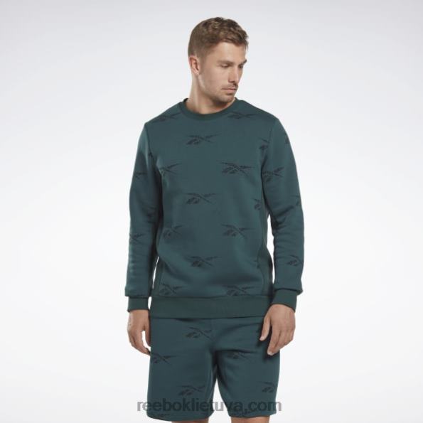 Reebok tapatybės vektorius, vilnos įgulos megztinis FTYF81305 miškas žalias vyrų