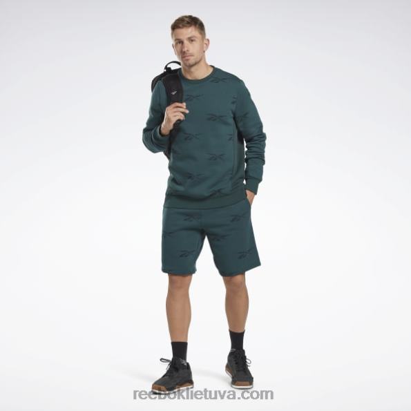 Reebok tapatybės vektorius, vilnos įgulos megztinis FTYF81305 miškas žalias vyrų