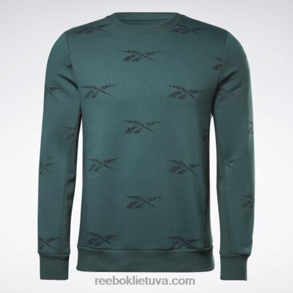 Reebok tapatybės vektorius, vilnos įgulos megztinis FTYF81305 miškas žalias vyrų