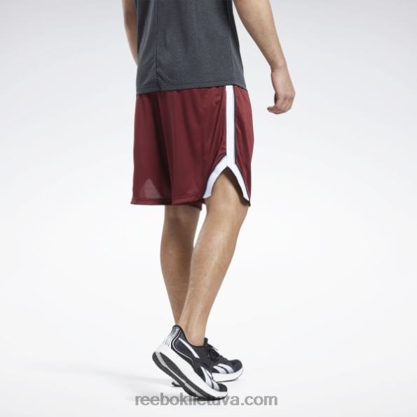 Reebok treniruotėms paruošti tinkliniai šortai FTYF81322 klasikinis bordo vyrų