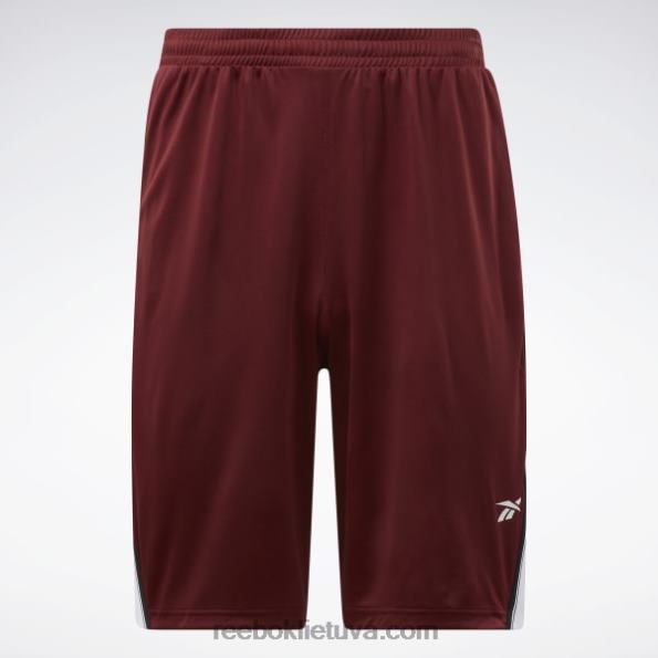 Reebok treniruotėms paruošti tinkliniai šortai FTYF81322 klasikinis bordo vyrų